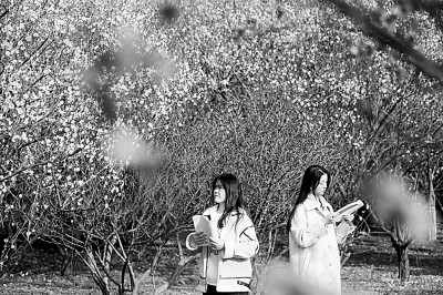 https://epaper.gmw.cn/gmrb/images/2022-04/12/15/res1507_attpic_brief.jpg