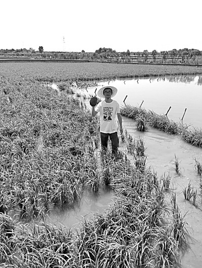 https://epaper.gmw.cn/gmrb/images/2020-06/07/07/854393_masx_1590742241839_b.jpg