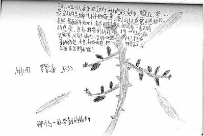 https://epaper.gmw.cn/gmrb/images/2022-03/08/14/res1411_attpic_brief.jpg