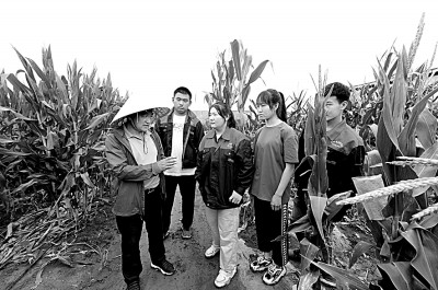 https://epaper.gmw.cn/gmrb/images/2022-06/14/15/res1511_attpic_brief.jpg