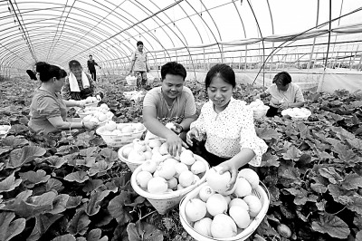 https://epaper.gmw.cn/gmrb/images/2020-08/04/13/res1303_attpic_brief.jpg