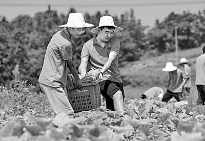 https://epaper.gmw.cn/gmrb/images/2022-07/12/13/res1311_attpic_brief.jpg