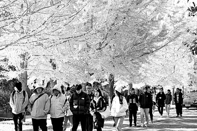https://epaper.gmw.cn/gmrb/images/2022-01/04/15/res1507_attpic_brief.jpg
