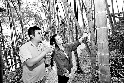 https://epaper.gmw.cn/gmrb/images/2022-12/20/14/res1407_attpic_brief.jpg